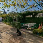 Branko Daire Vodice
