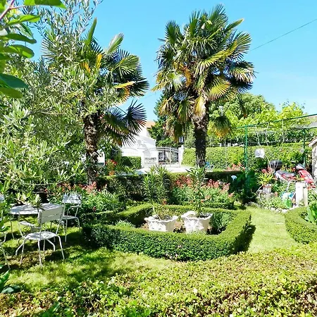 Branko Apartamento
