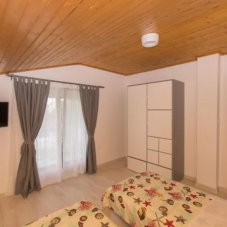 Branko Vodice