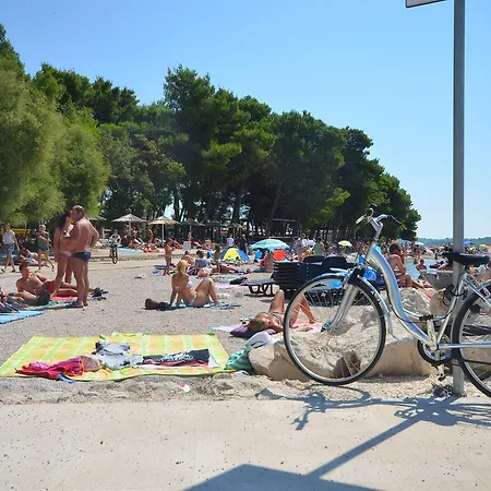 Branko * Vodice