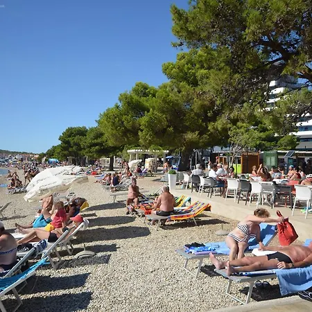 아파트 Branko 보디체