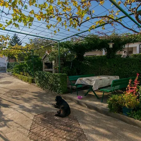 Branko 아파트 보디체